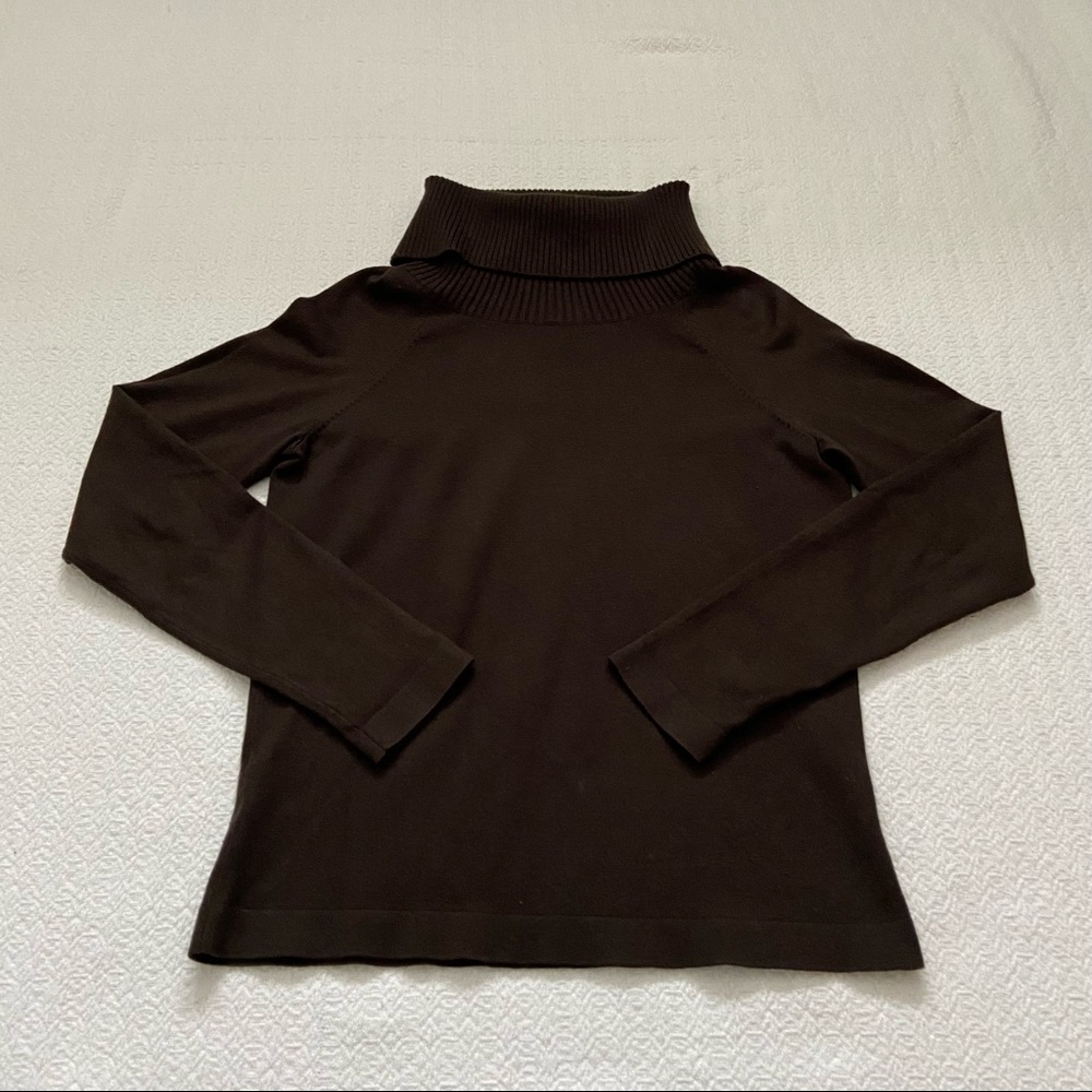 ann taylor silk turtleneck | brown